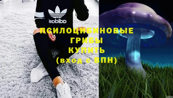 скорость Покачи