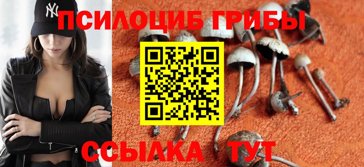 Галлюциногенные грибы Psilocybe  Псилоцибиновые грибы Psilocybine cubensis  Вход с VPN  Стрежевой 